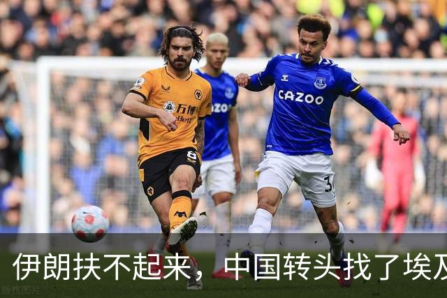 伊朗扶不起来，中国转头找了埃及，结果阵风跟歼16对上了